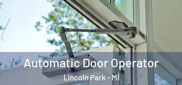 Automatic Door Operator Lincoln Park - MI