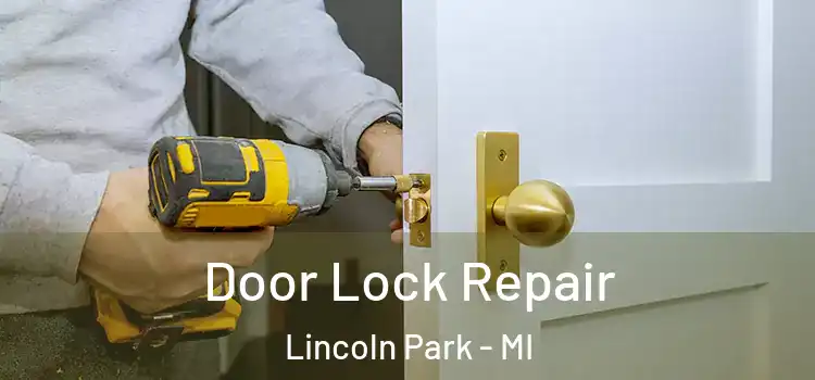 Door Lock Repair Lincoln Park - MI