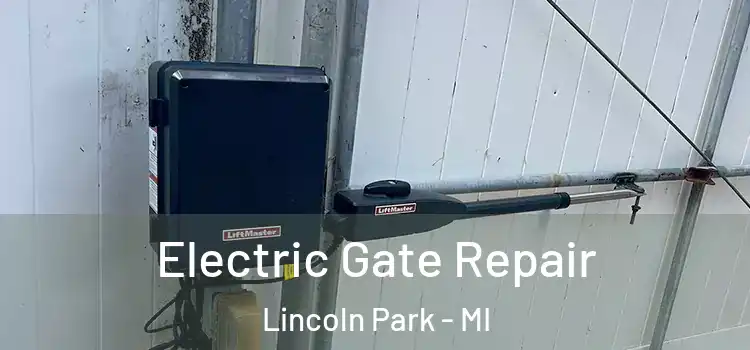 Electric Gate Repair Lincoln Park - MI