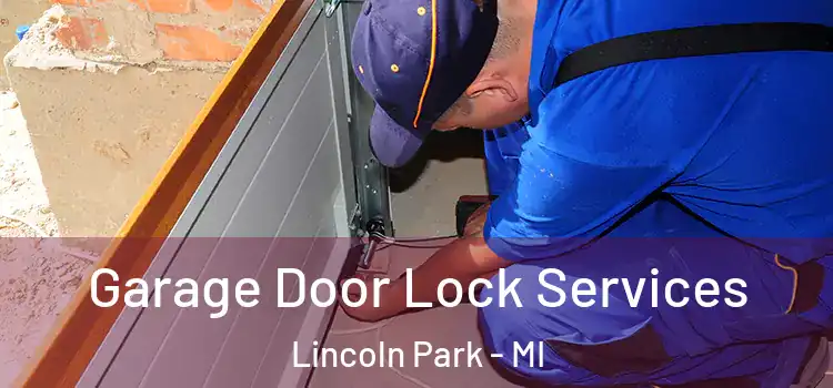 Garage Door Lock Services Lincoln Park - MI