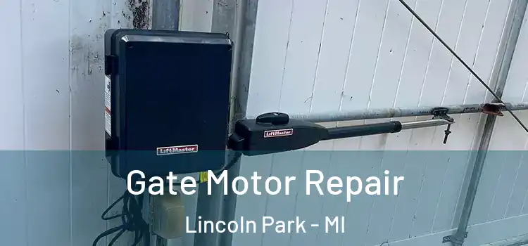 Gate Motor Repair Lincoln Park - MI
