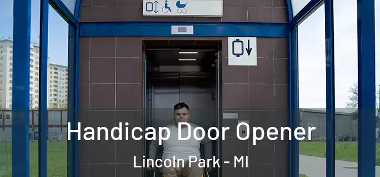 Handicap Door Opener Lincoln Park - MI