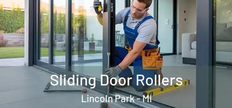 Sliding Door Rollers Lincoln Park - MI